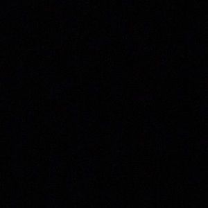 Meet your Posher, Daisy